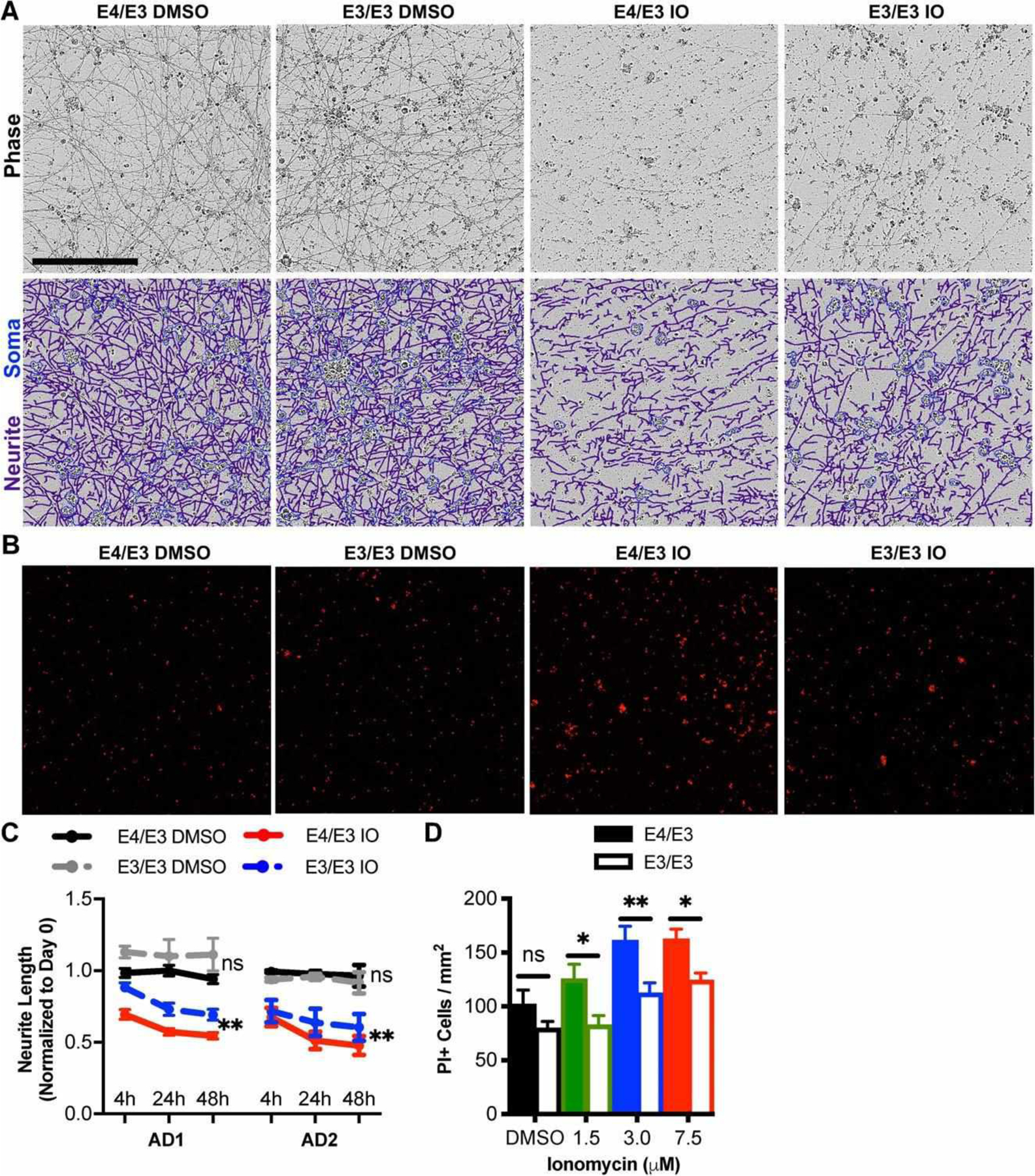 FIGURE 4: