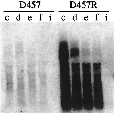 FIG. 6