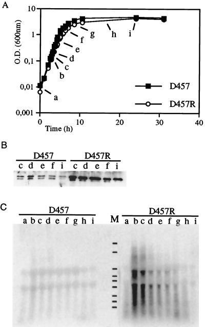 FIG. 5