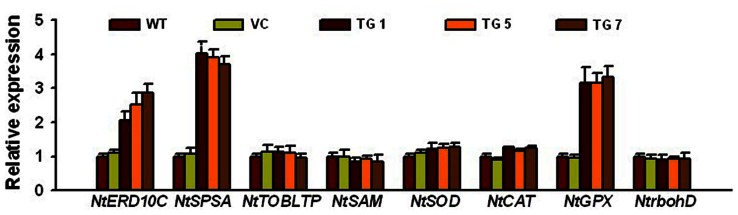 Figure 7