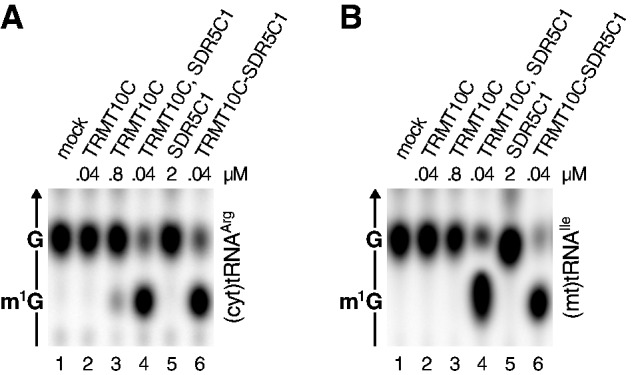 Figure 7.