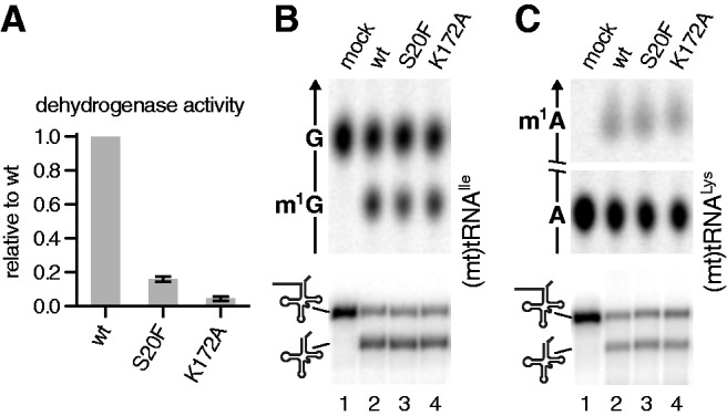 Figure 6.