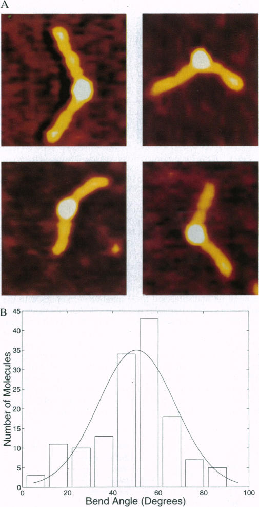 Fig. 5