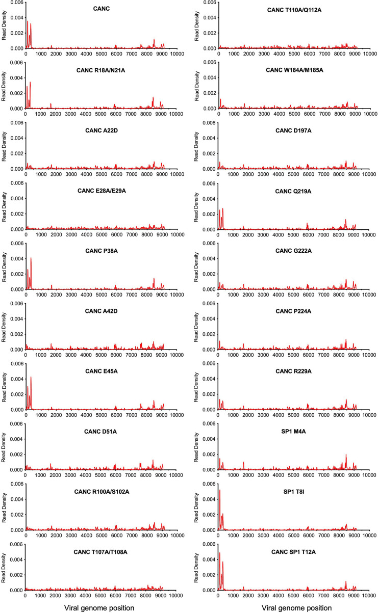Figure 4—figure supplement 3.