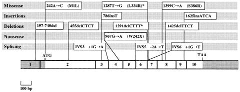 Figure  1