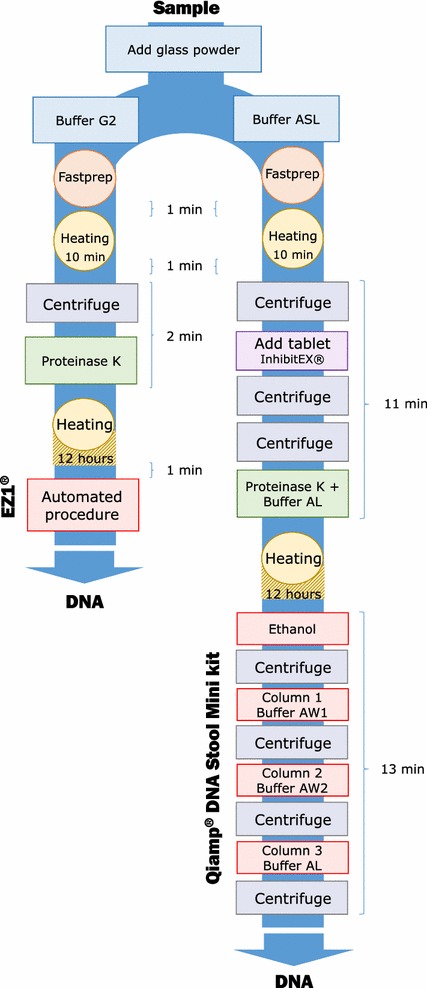 Fig. 1