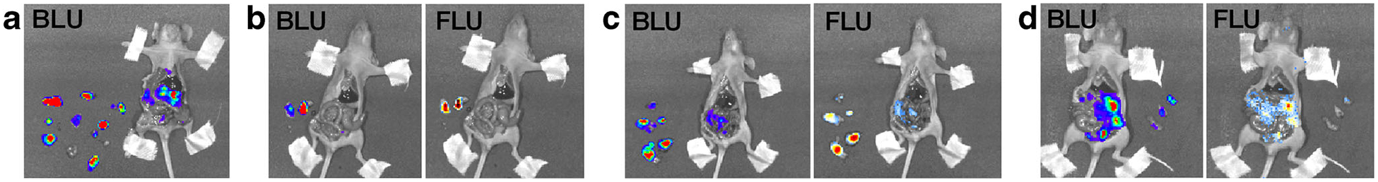 Fig. 4