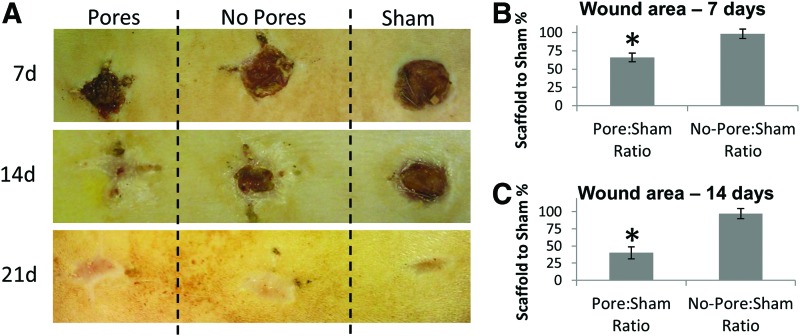 FIG. 8.