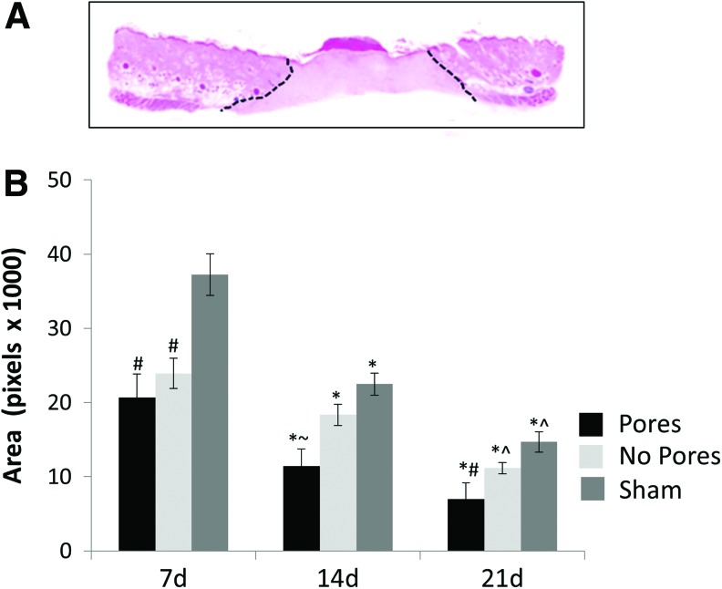 FIG. 9.