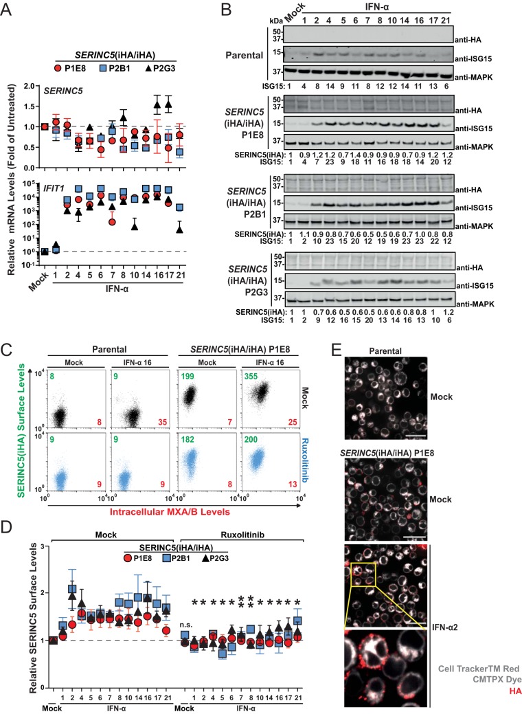 FIG 3