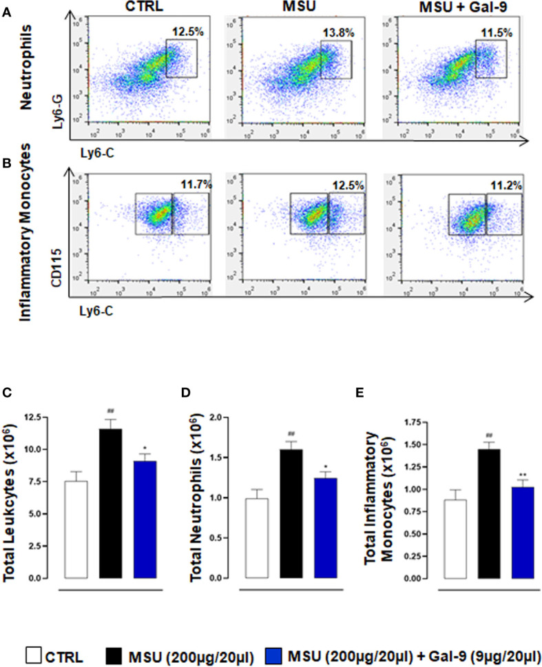 Figure 2