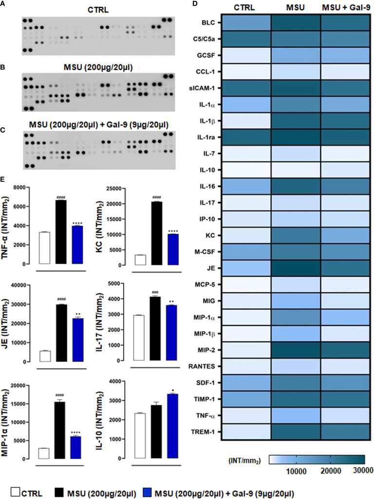 Figure 4