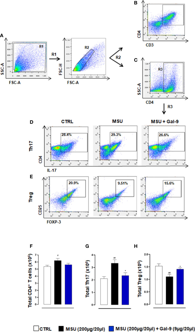 Figure 3