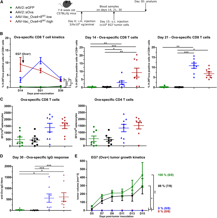 Figure 4