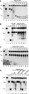 FIG. 2.