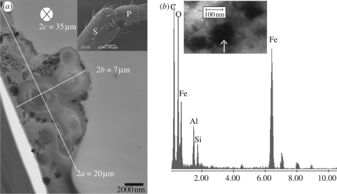 Figure 5.