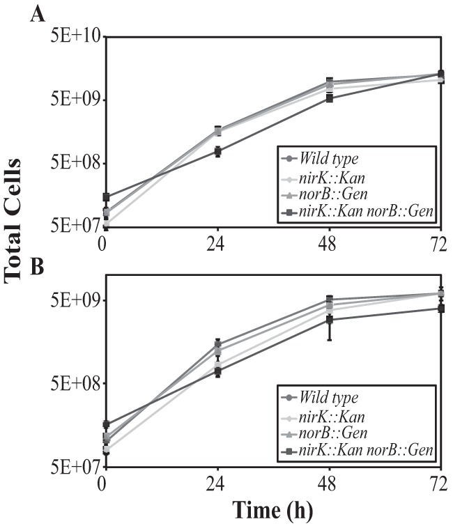 FIG 1