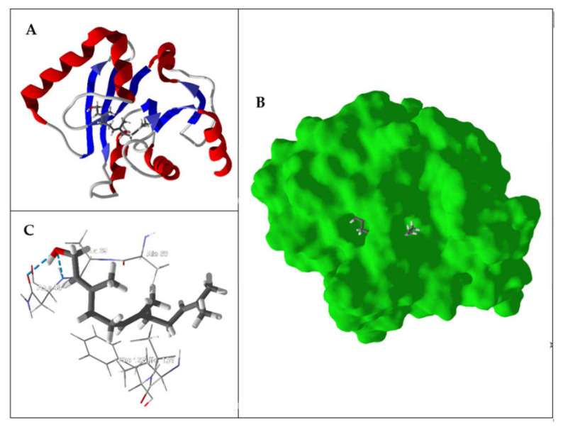 Figure 4