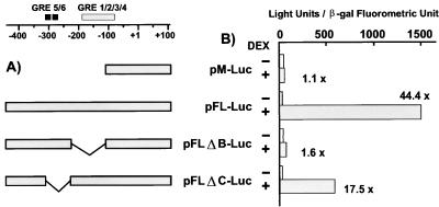 FIG. 8