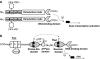 FIG. 4.