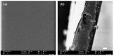Figure 36