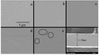 Figure 31