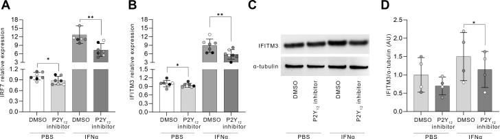 Figure 4