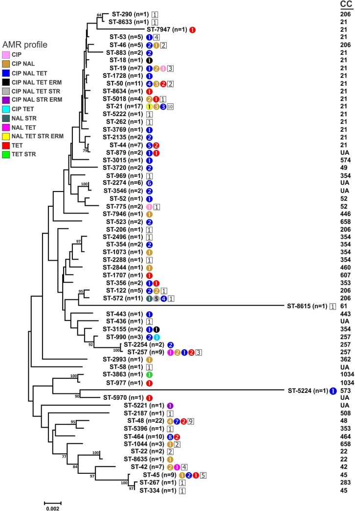 Fig 1