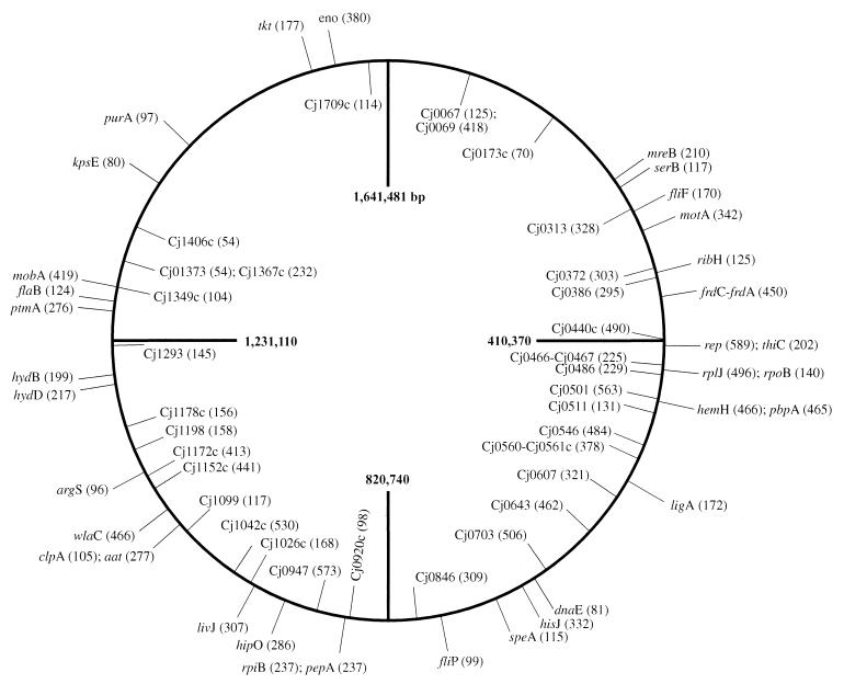 FIG. 1