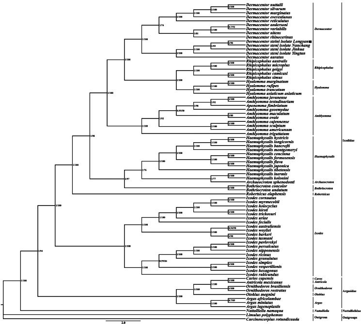 Fig. 5.