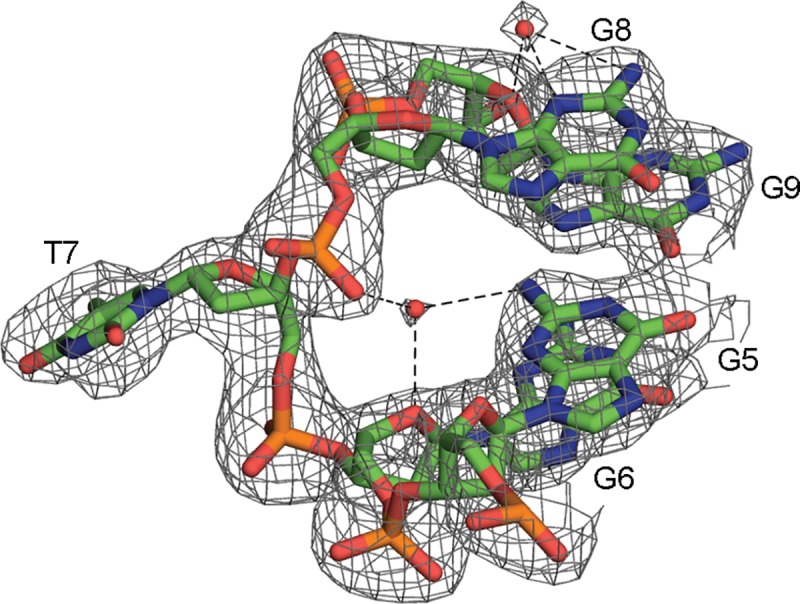 Fig 5