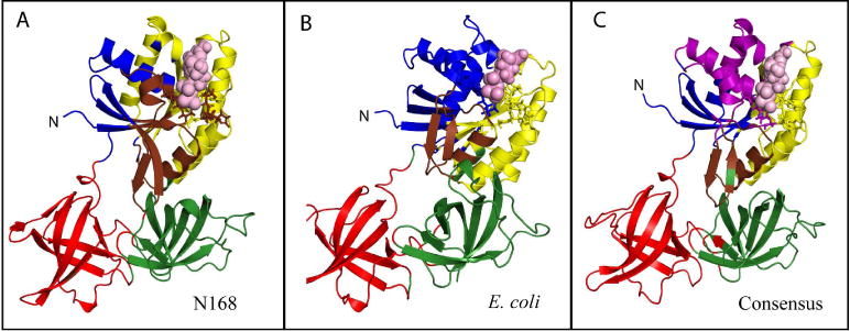 Figure 9