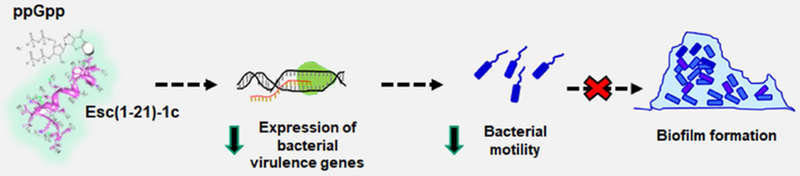 Fig. 11.