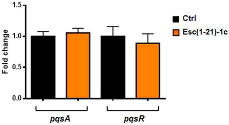 Fig. 10.