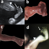 Figure 4.