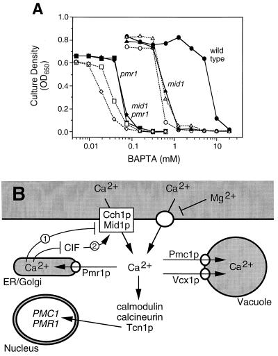 FIG. 5