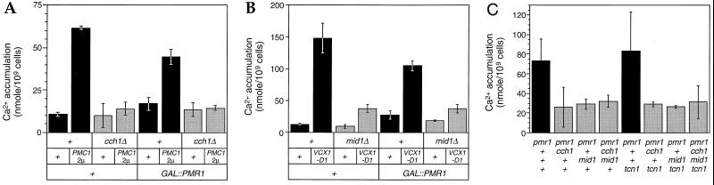 FIG. 3