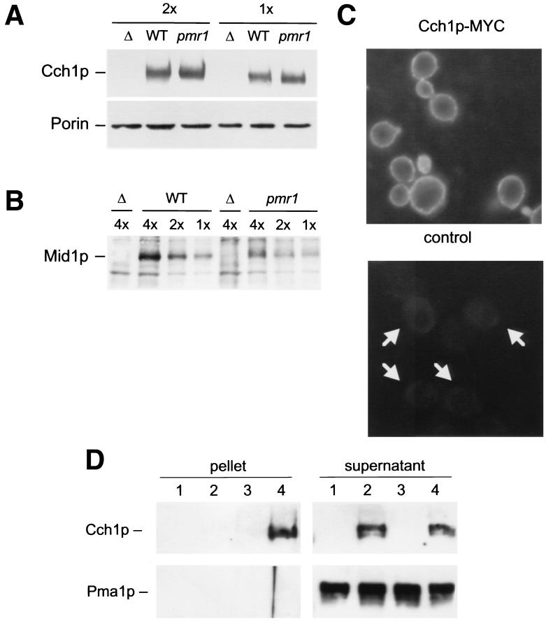 FIG. 4