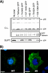 Fig 8