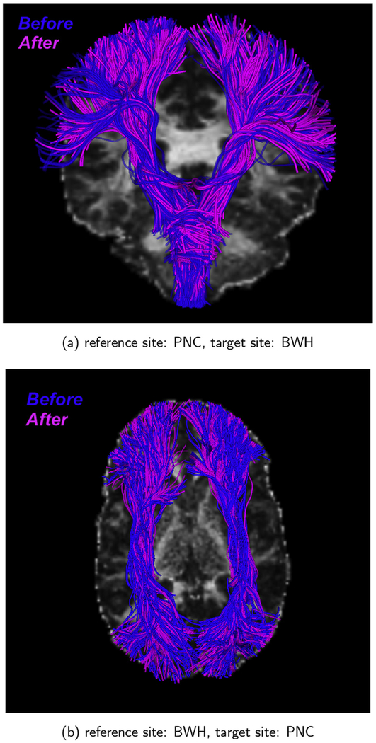 Fig. 10.