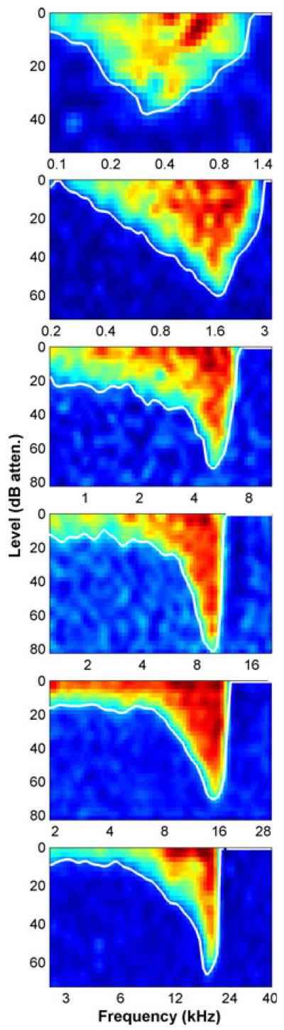 Fig. 3