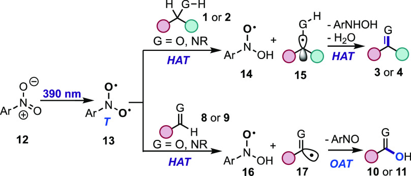 Scheme 3