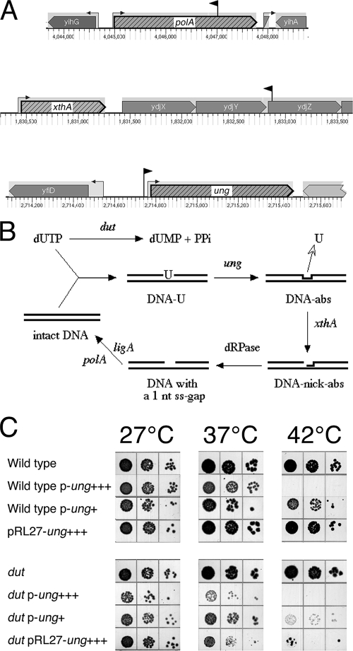 FIG. 4.