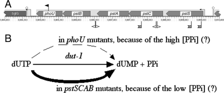 FIG. 7.