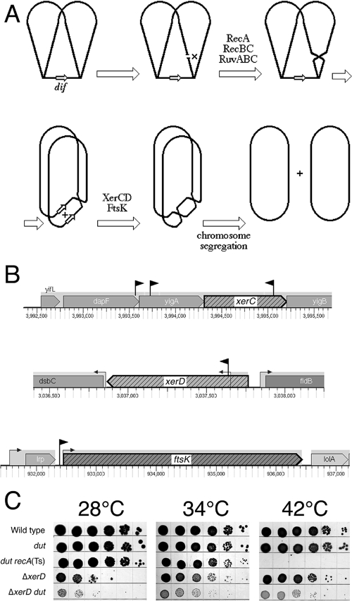 FIG. 6.