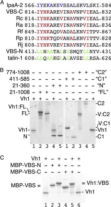 FIGURE 1.