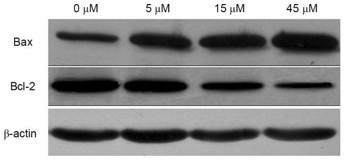 Figure 5.