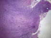 Fig. 4b