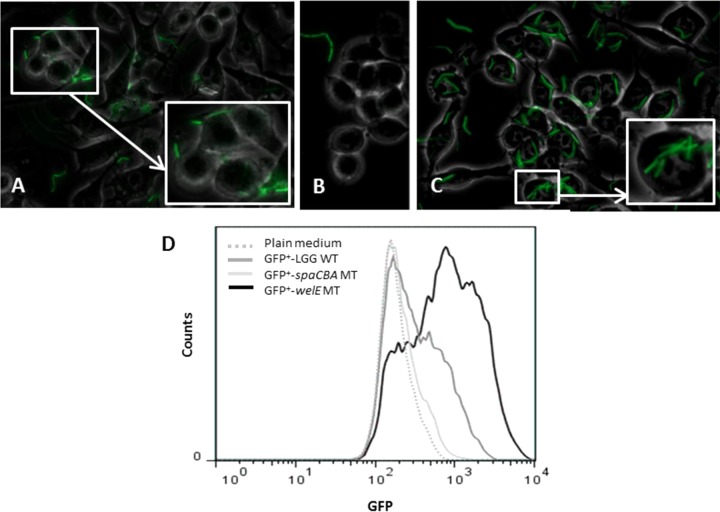 FIG 3