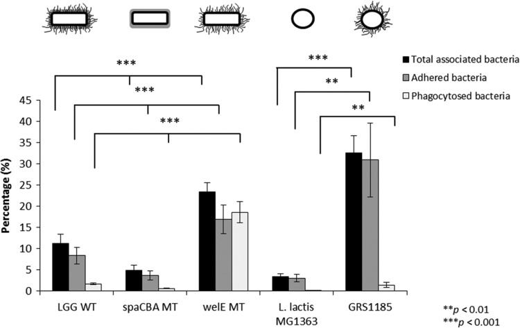 FIG 2